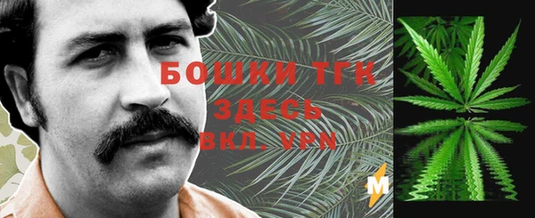 mdpv Горно-Алтайск