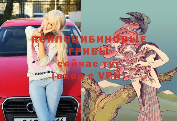 дурь Бронницы