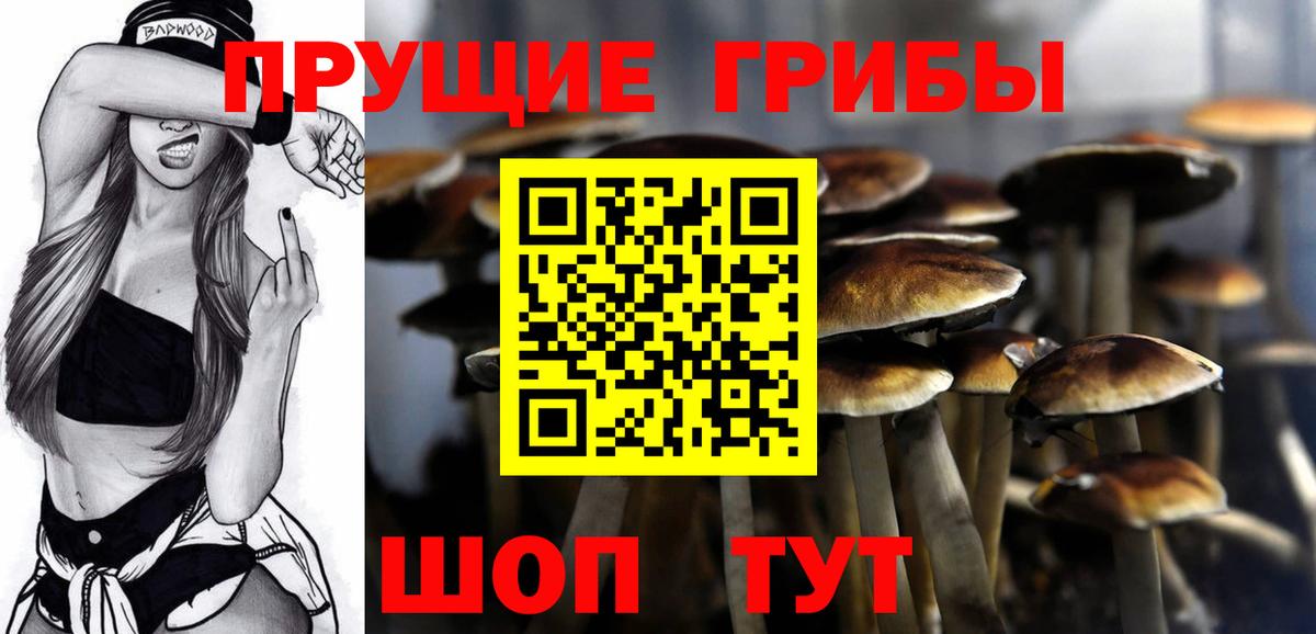Галлюциногенные грибы Cubensis  Псилоцибиновые грибы Psilocybine cubensis  Северобайкальск  Вход с VPN 